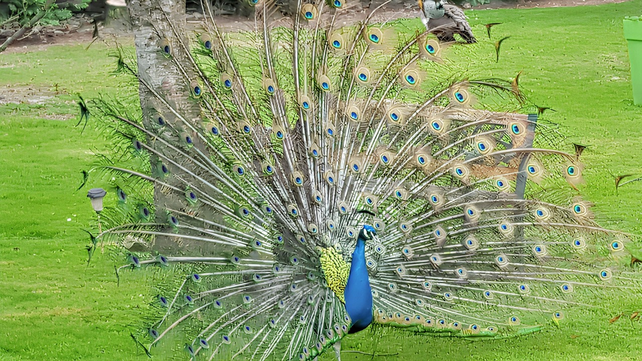 Photo of Others in Saint-Germain-du-Pert