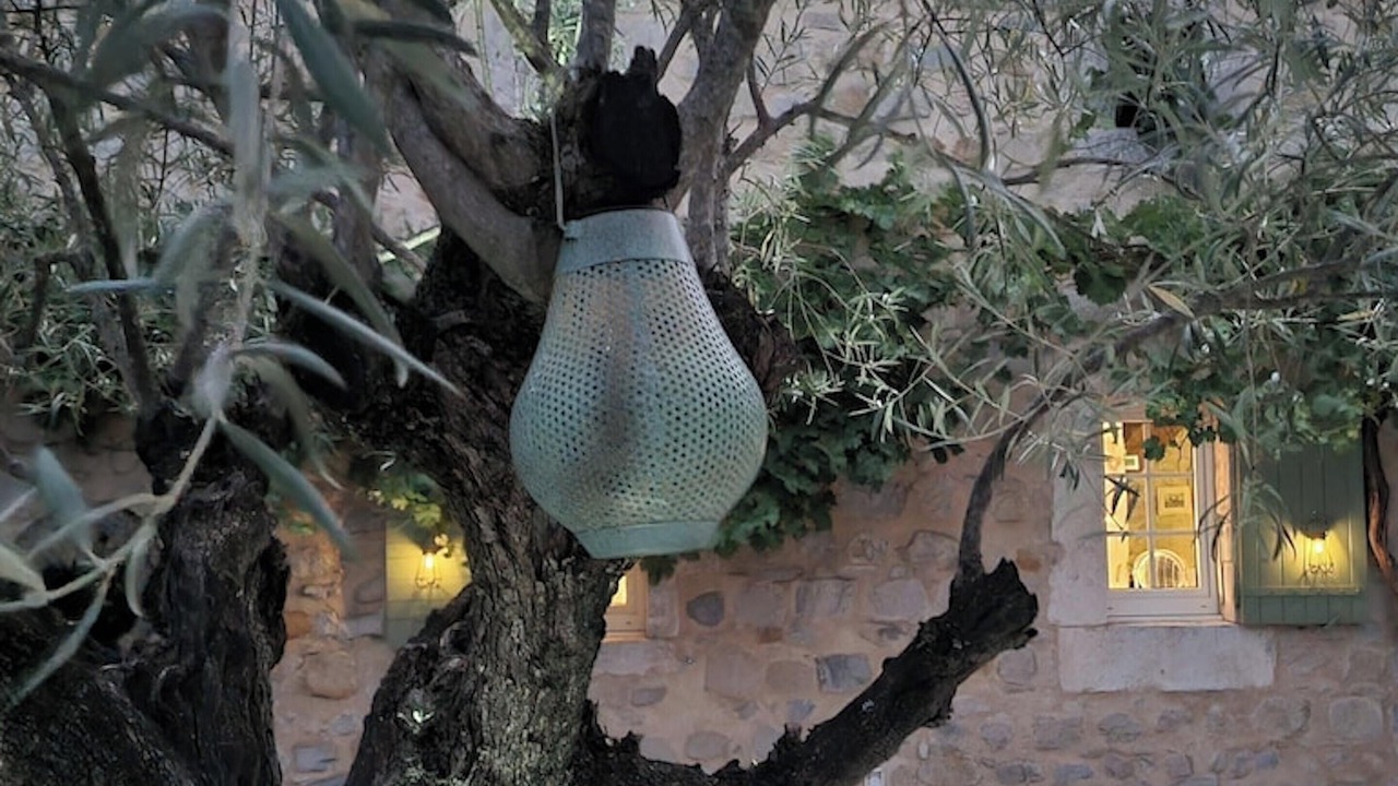 Photo of Outdoor in Lussan