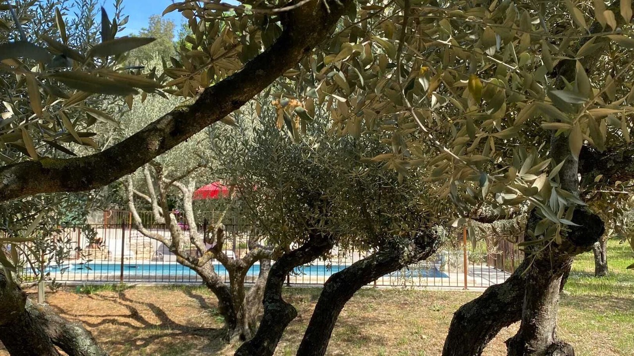 Photo of Outdoor in Saint Michel d'Euzet