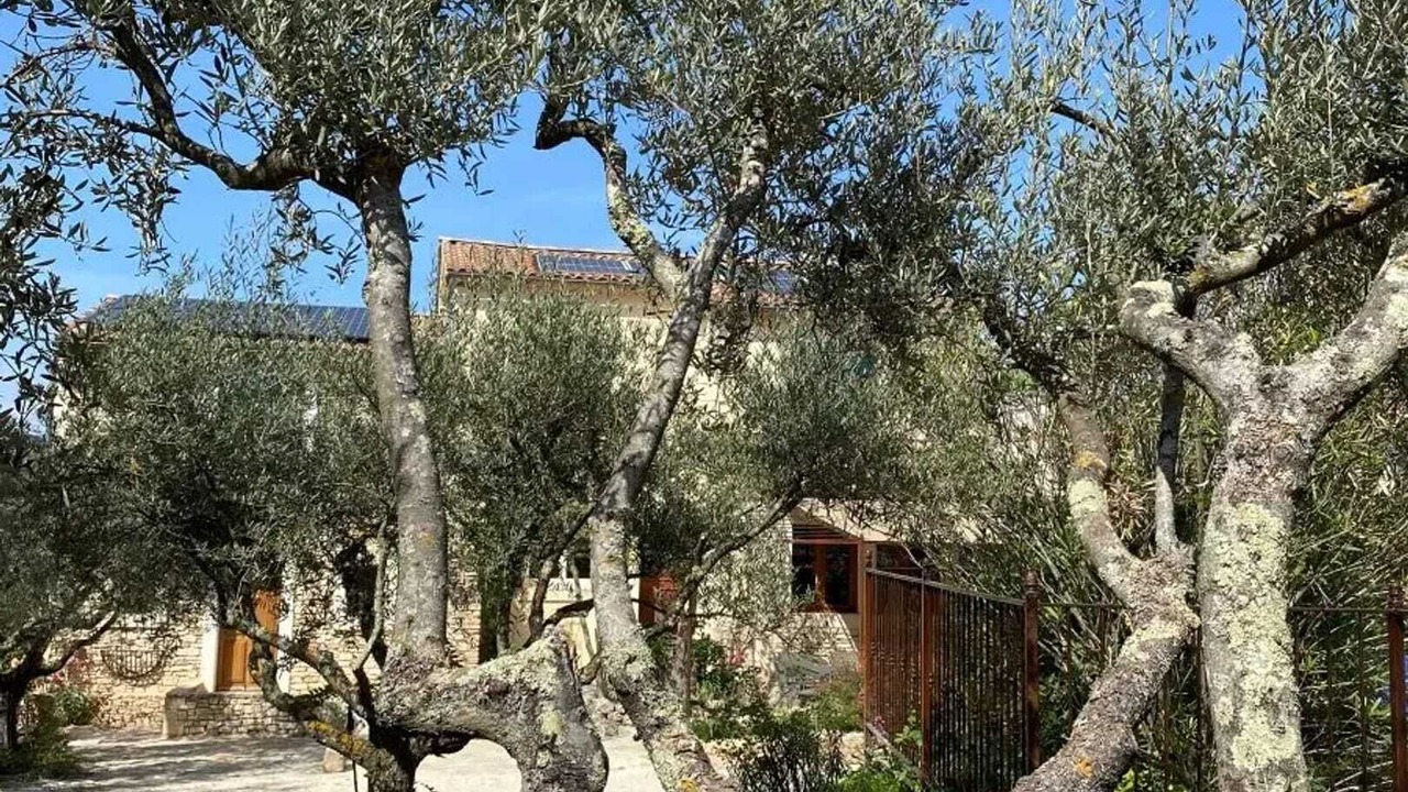 Photo of Outdoor in Saint Michel d'Euzet