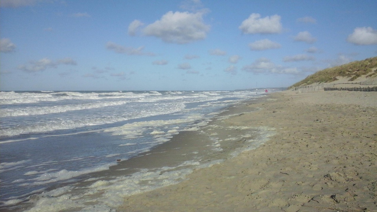 Photo of Others in Sainte-Cecile-Plage