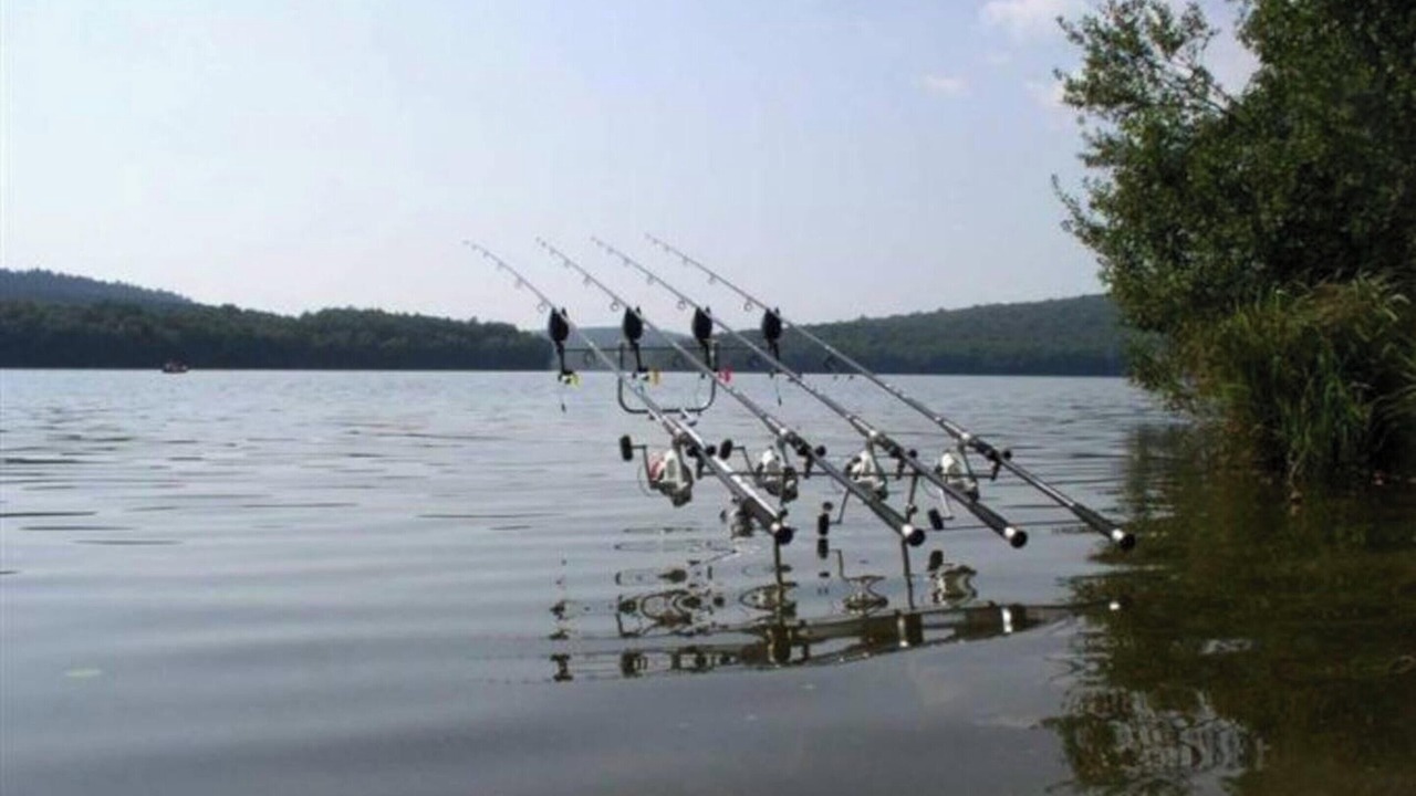 Photo of Outdoor in Deville