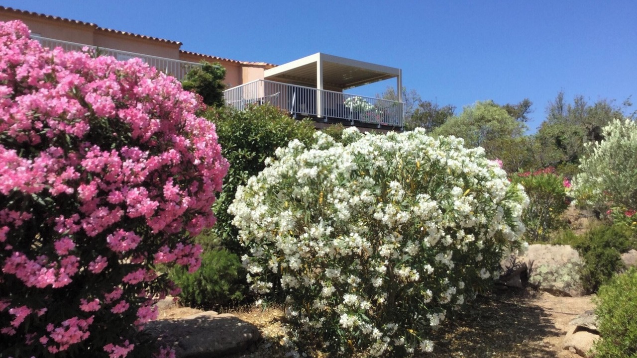 Photo of Outdoor in Santa Giulia