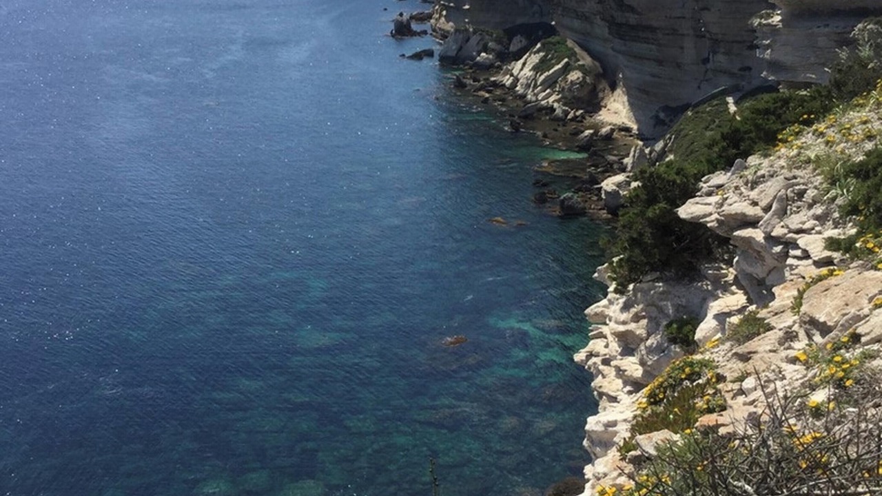 Photo of Others in Santa Giulia