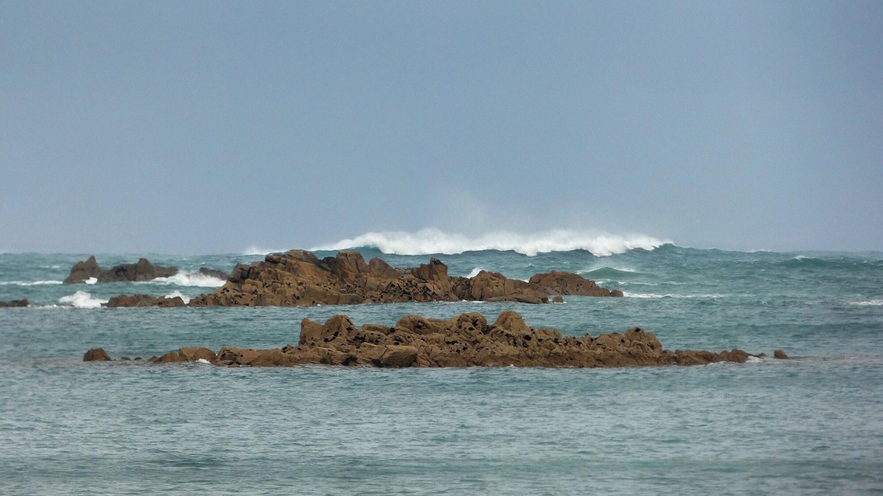 Photo of Others in Plougrescant