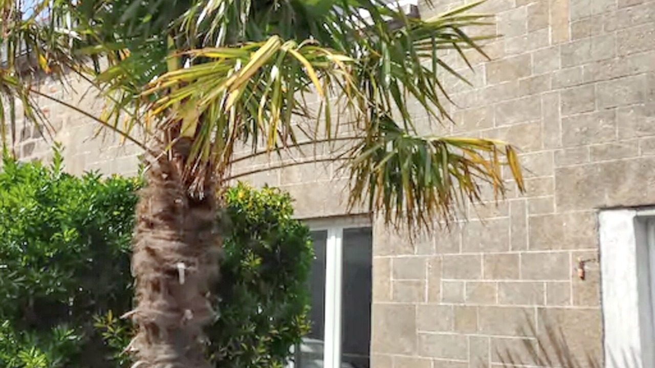 Photo of Others in Le Vivier-sur-Mer