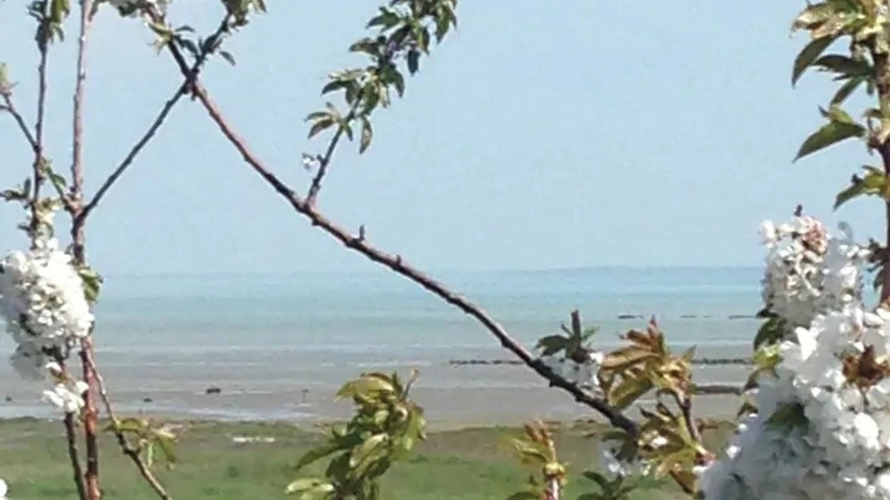 Photo of Others in Le Vivier-sur-Mer