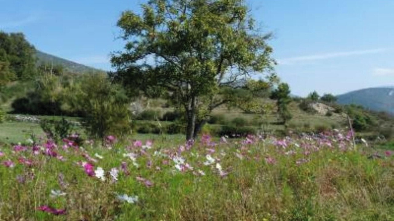 Photo of Others in Eygaliers