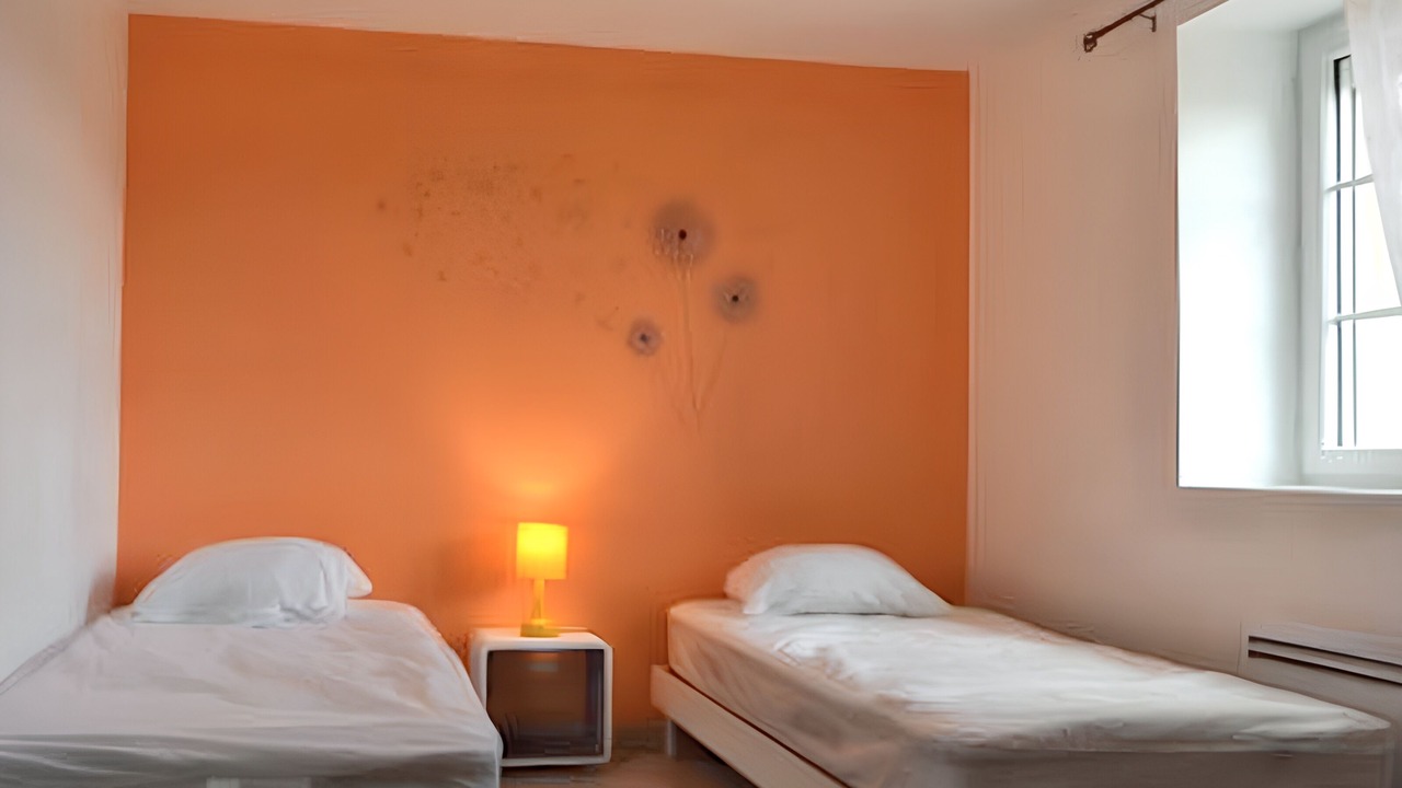 Photo of Others in Saint-Martin-de-Lamps