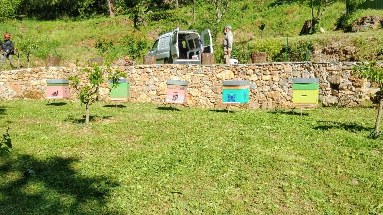 Photo of Outdoor in Saint-Julien-de-la-Nef