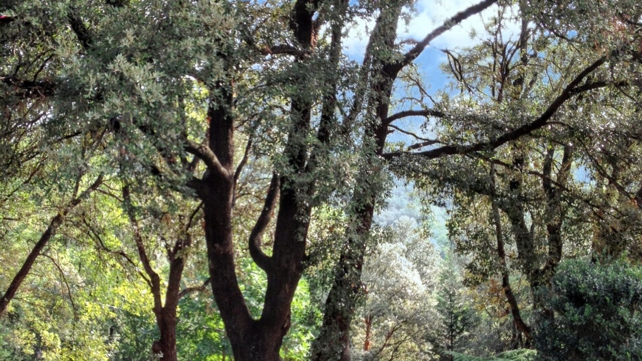 Photo of Outdoor in Saint-Julien-de-la-Nef
