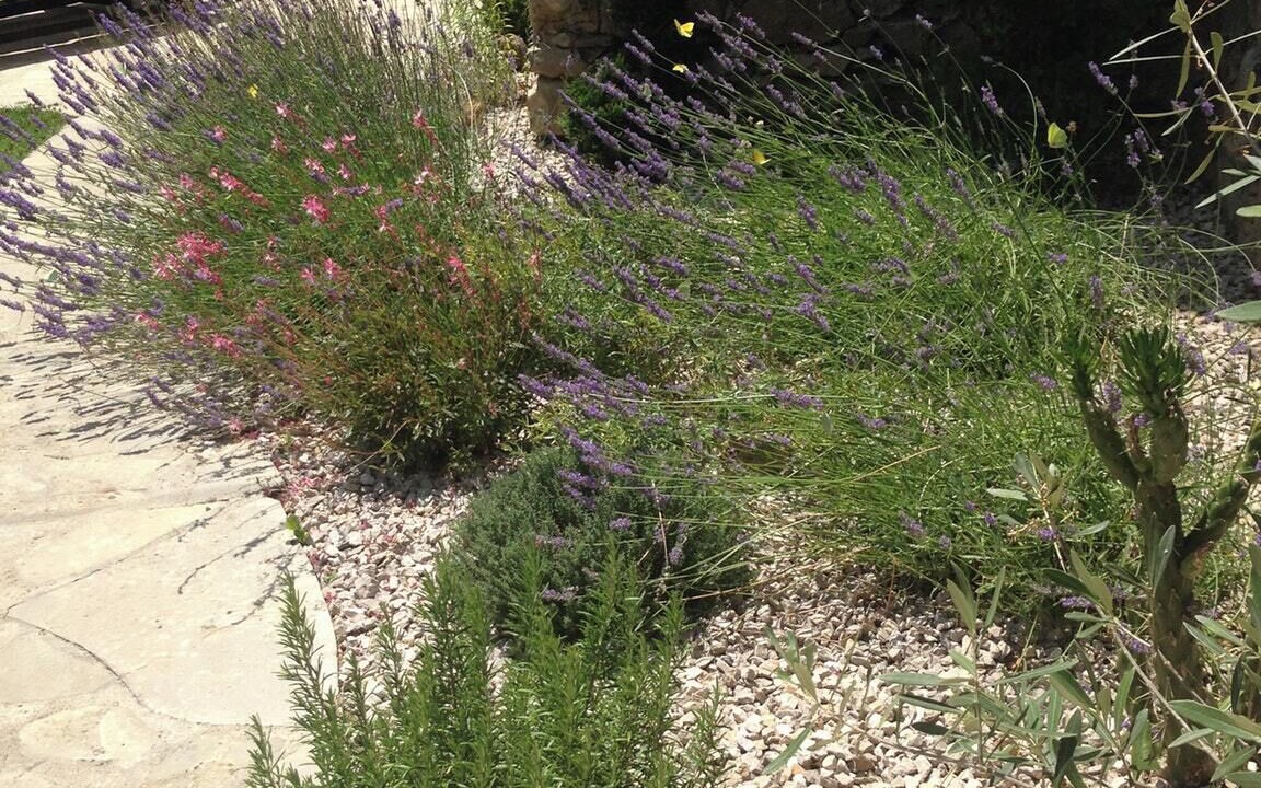 Photo of Outdoor in Saint-Julien-de-la-Nef