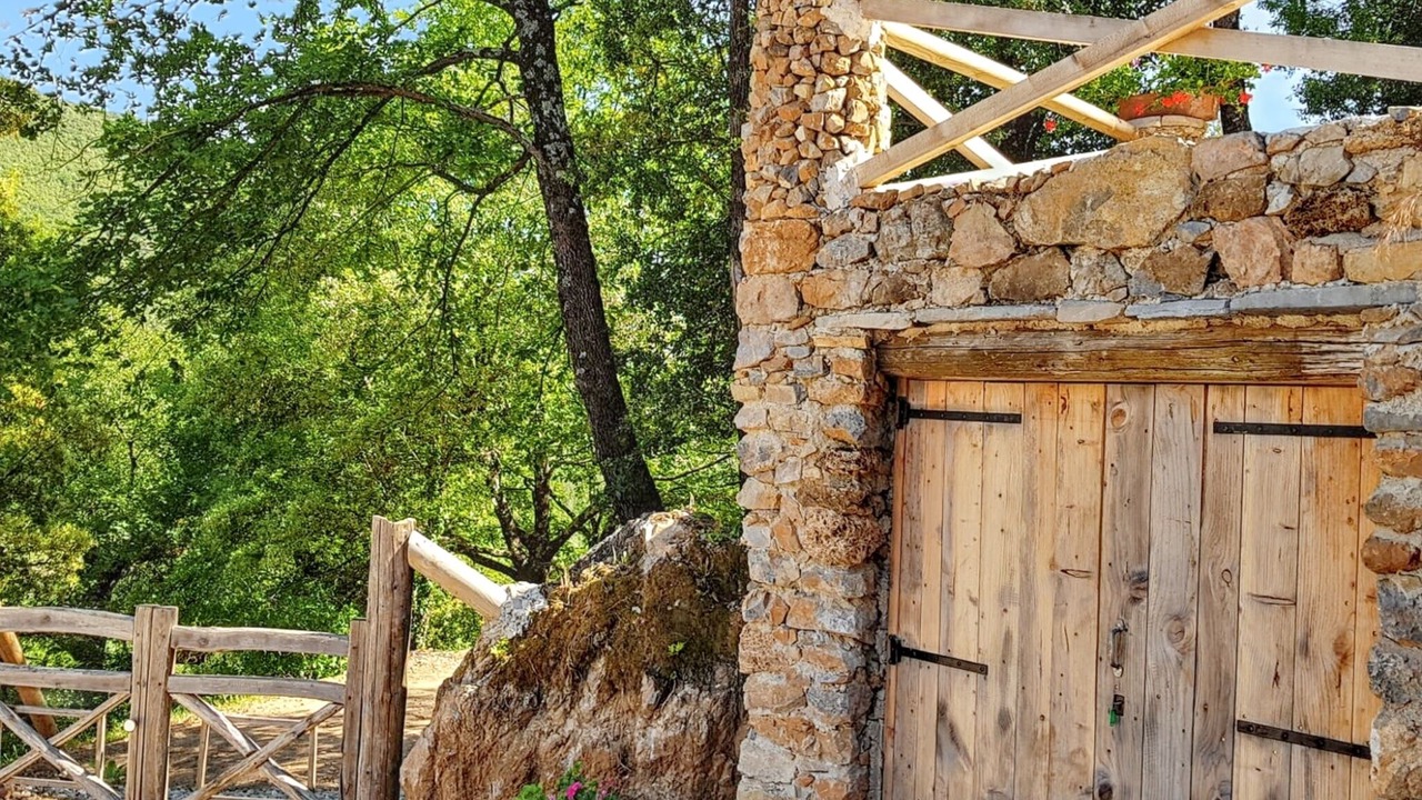 Photo of Outdoor in Saint-Julien-de-la-Nef