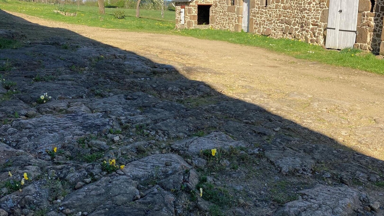 Photo of Others in Joue-du-Bois