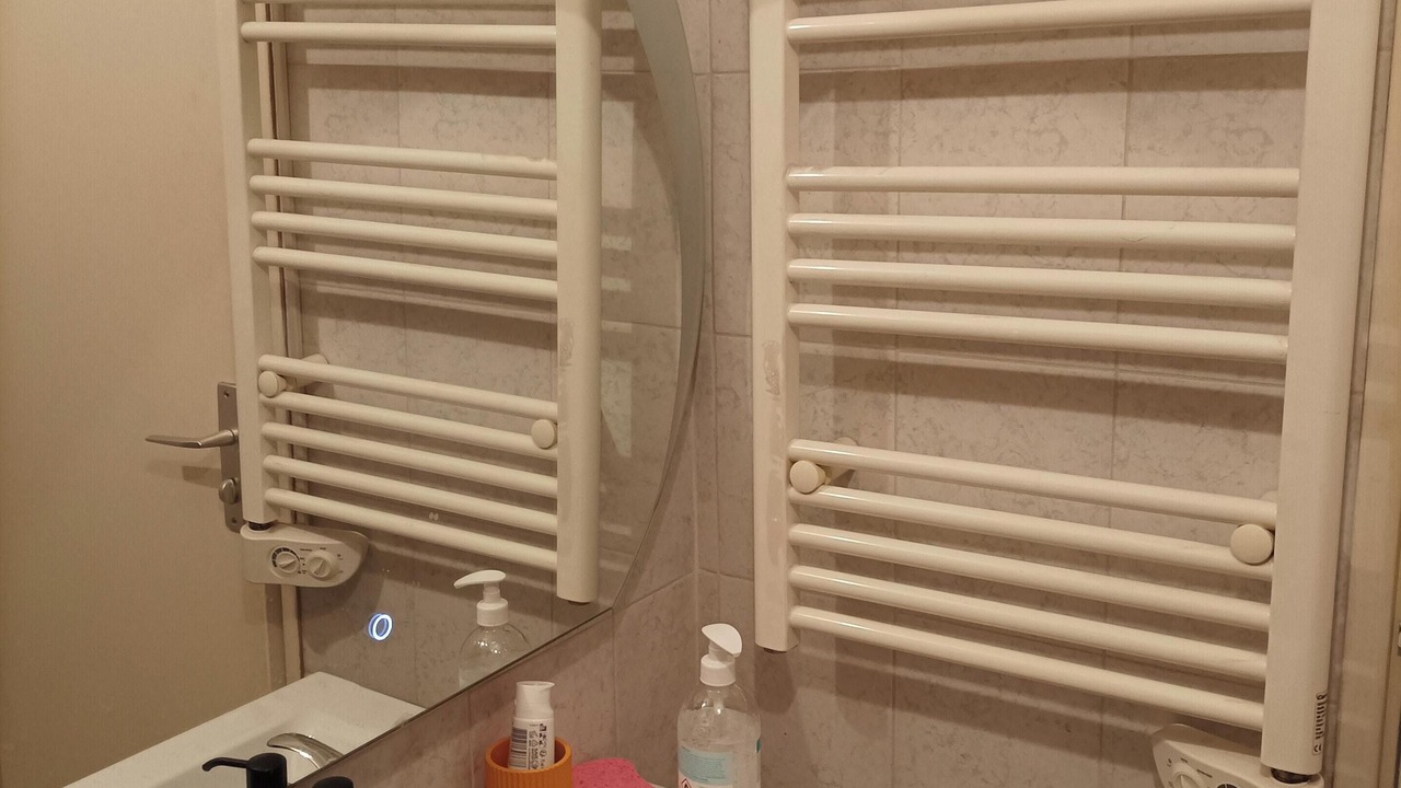 Photo of Bathroom in Montargis