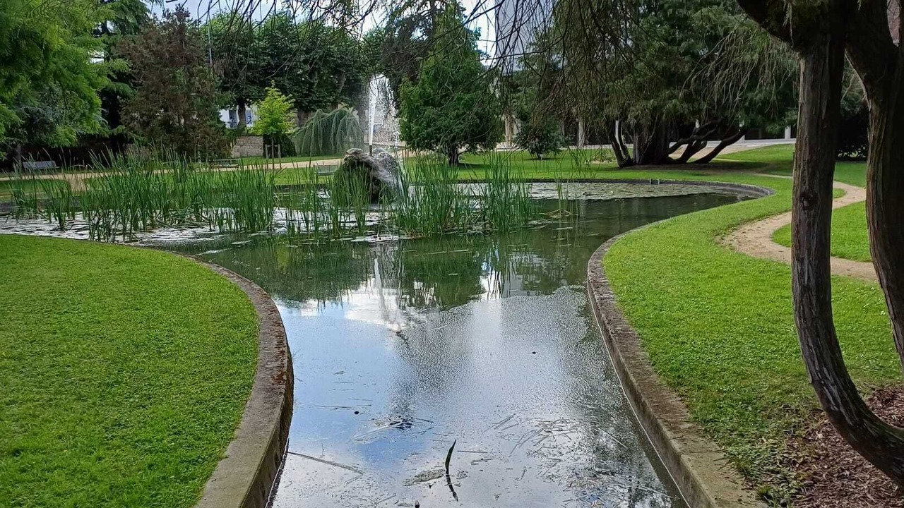 Photo of Others in Montargis