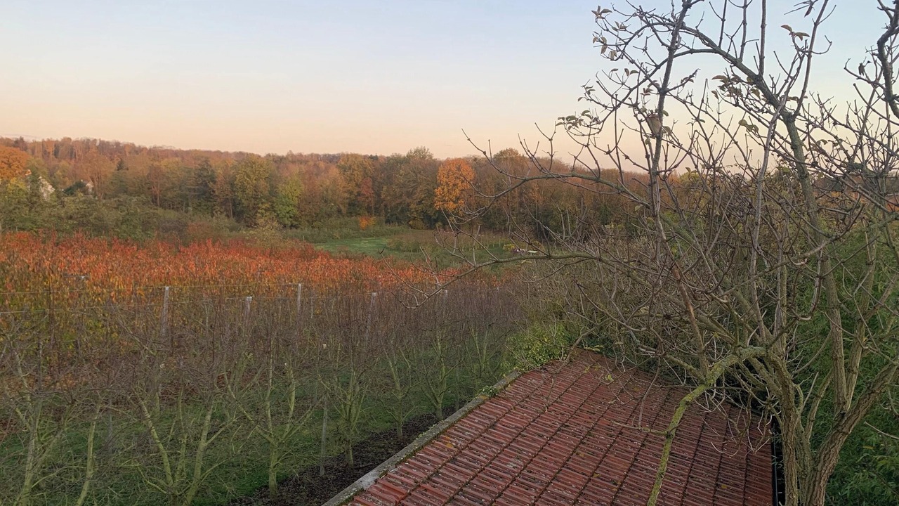 Photo of Outdoor in Saint-Brice-sous-Foret