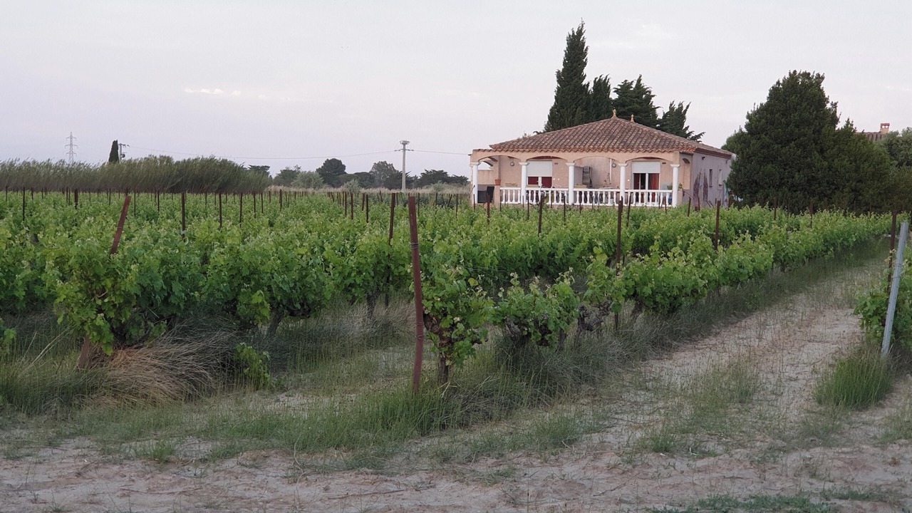 Photo of Others in Saint-Hippolyte
