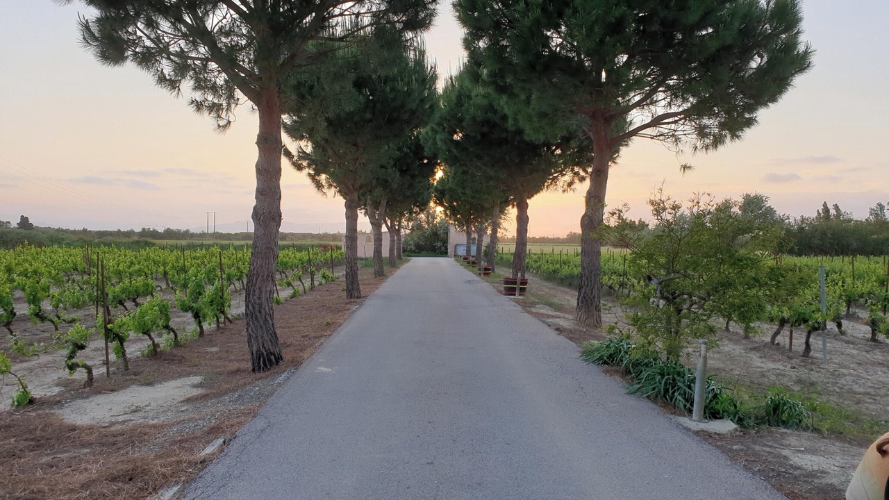 Photo of Outdoor in Saint-Hippolyte