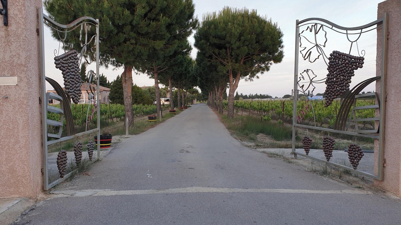Photo of Others in Saint-Hippolyte