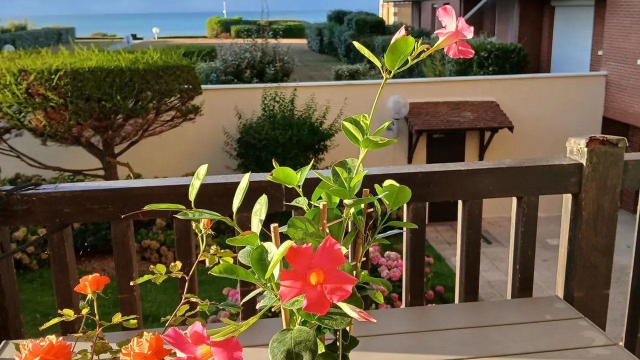 Photo of Outdoor in Cabourg
