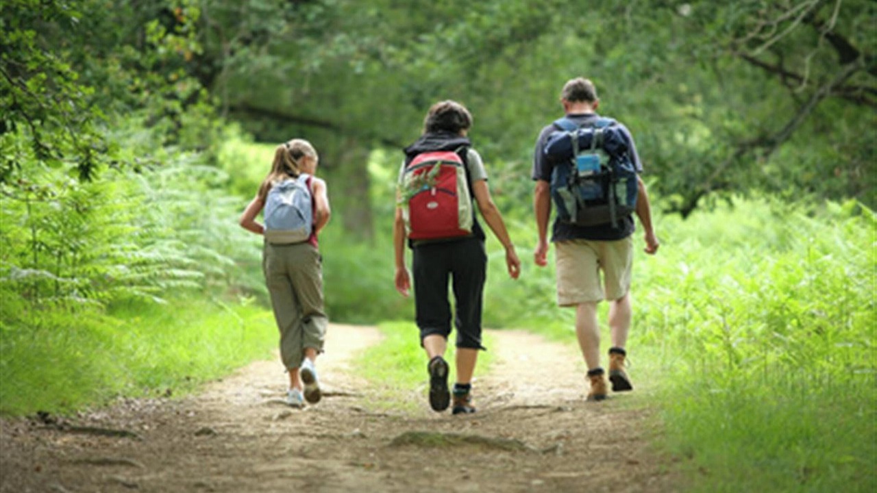 Photo of Others in La Ferriere-aux-Etangs