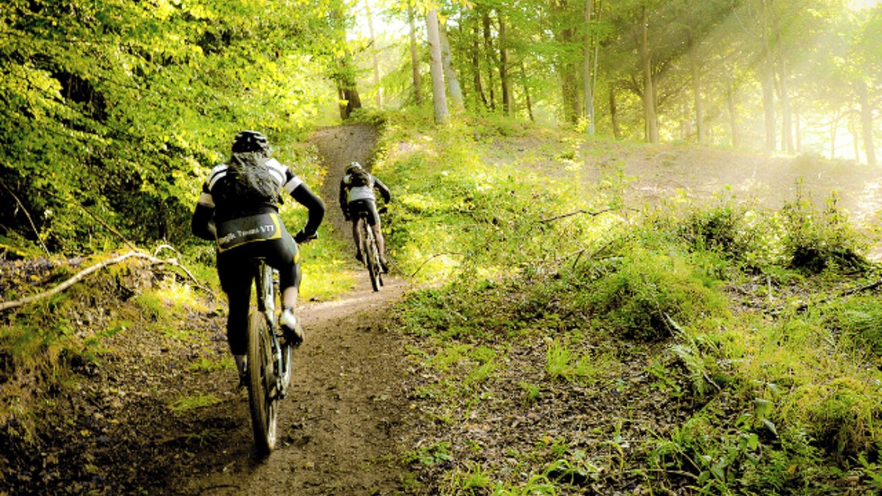 Photo of Others in La Ferriere-aux-Etangs