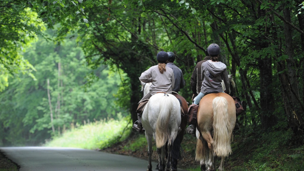 Photo of Others in La Ferriere-aux-Etangs