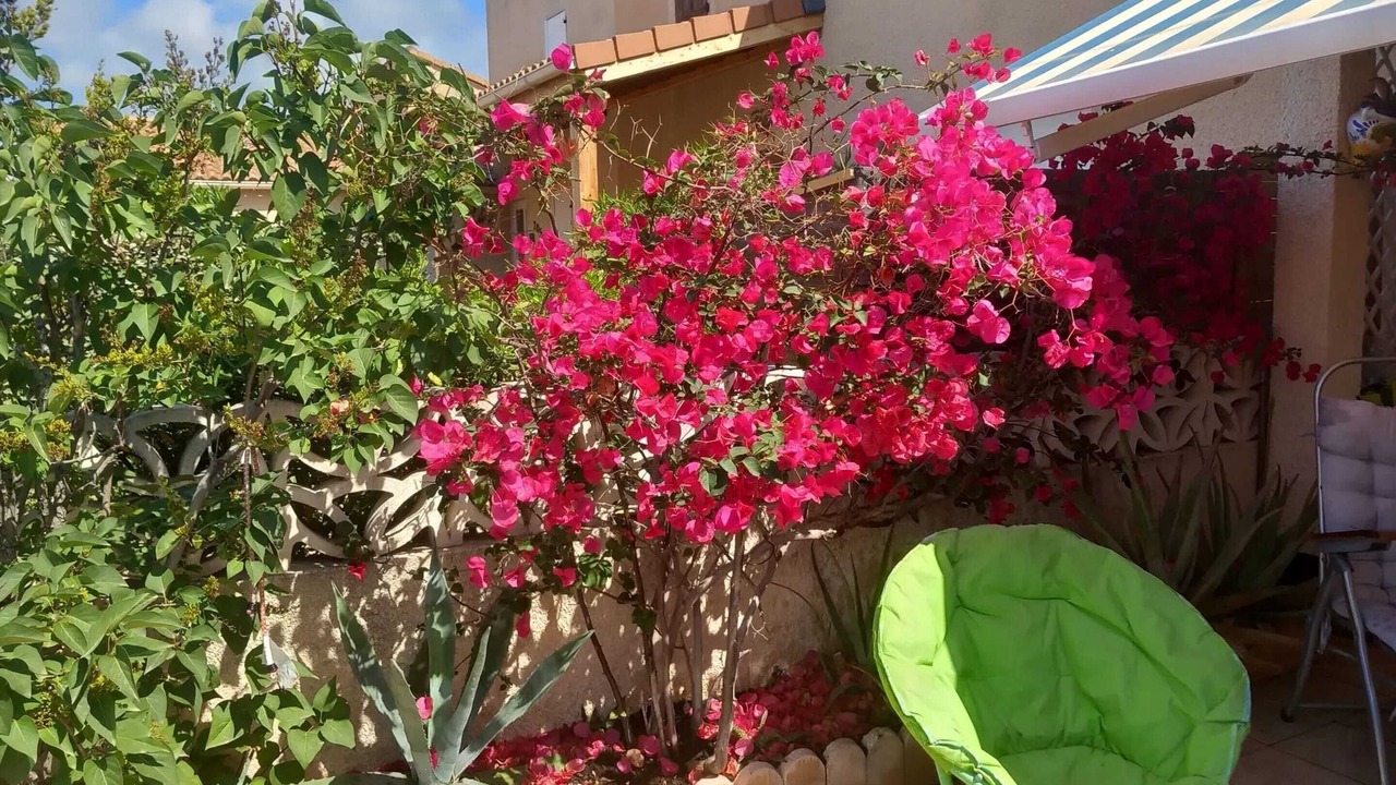 Photo of Patio Balcony in Les Ayguades