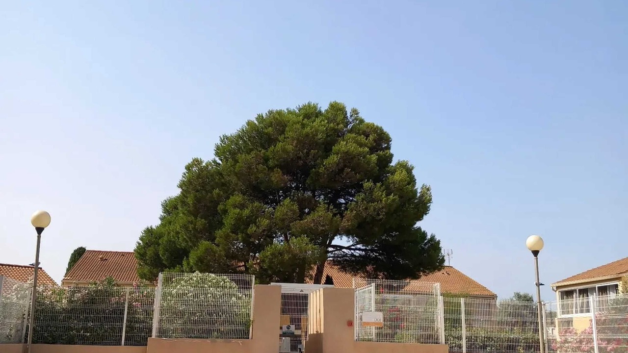 Photo of Outdoor in Les Ayguades