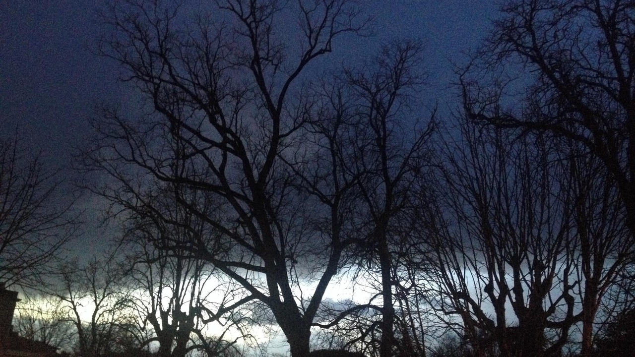 Photo of Outdoor in Cognac