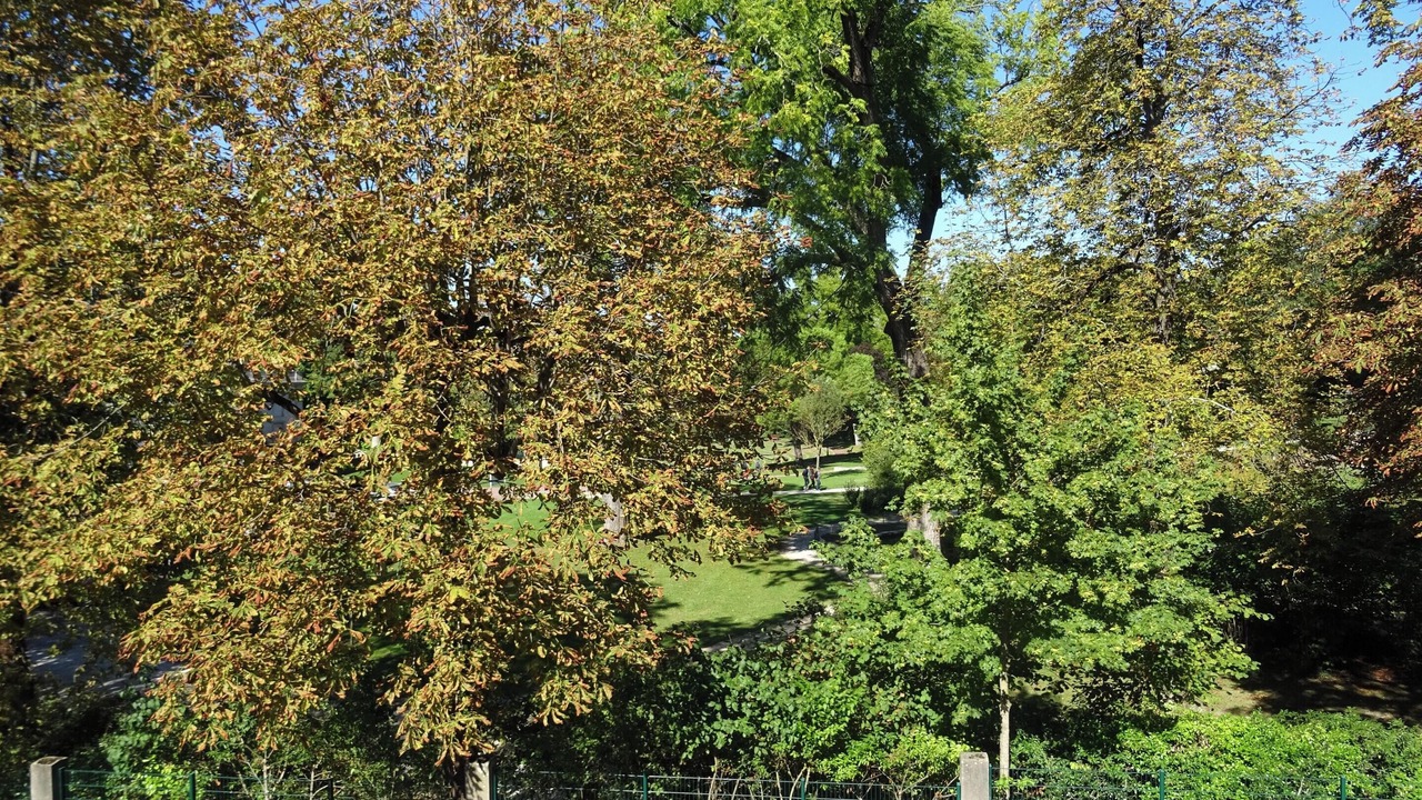 Photo of Outdoor in Cognac
