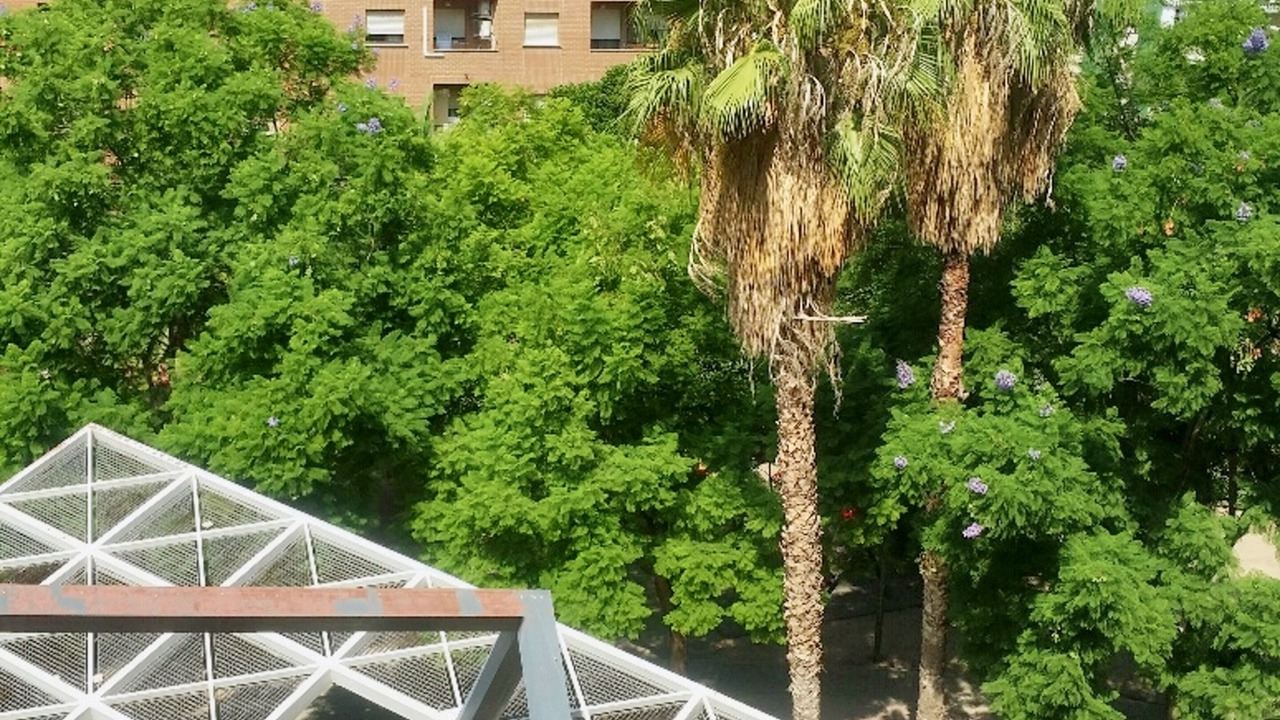 Photo of Outdoor in Benimaclet