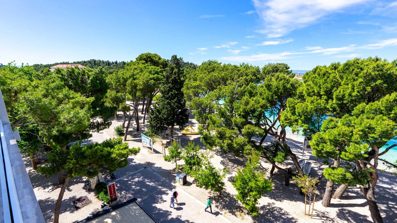 Photo of Others in Donja luka