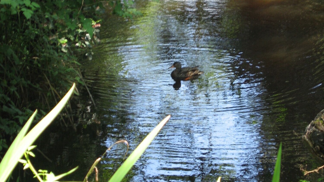 Photo of Others in Ocean Park
