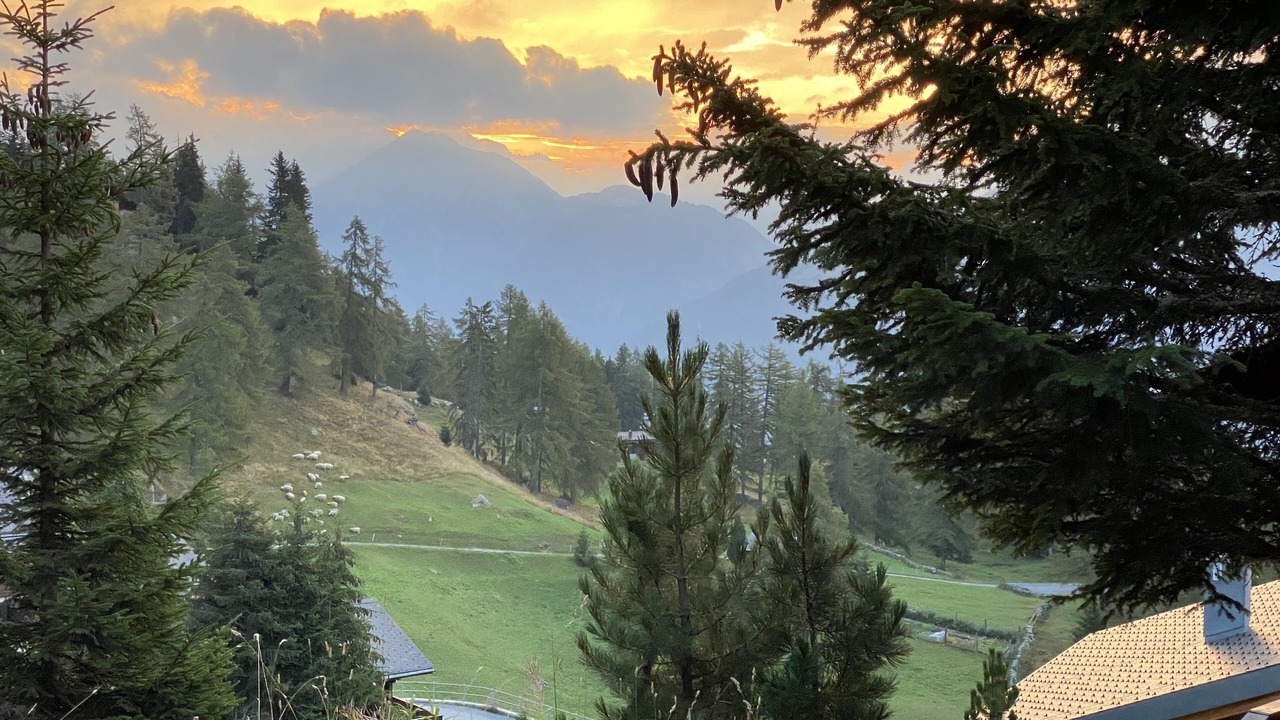 Photo of Others in Riederalp