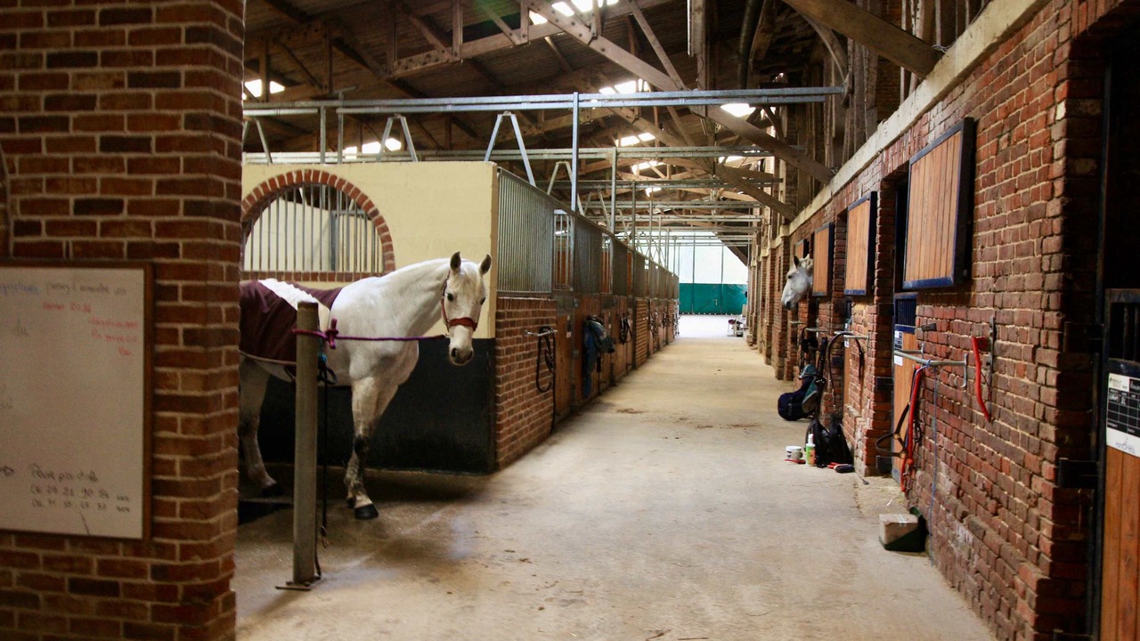 Photo of Others in Talmas