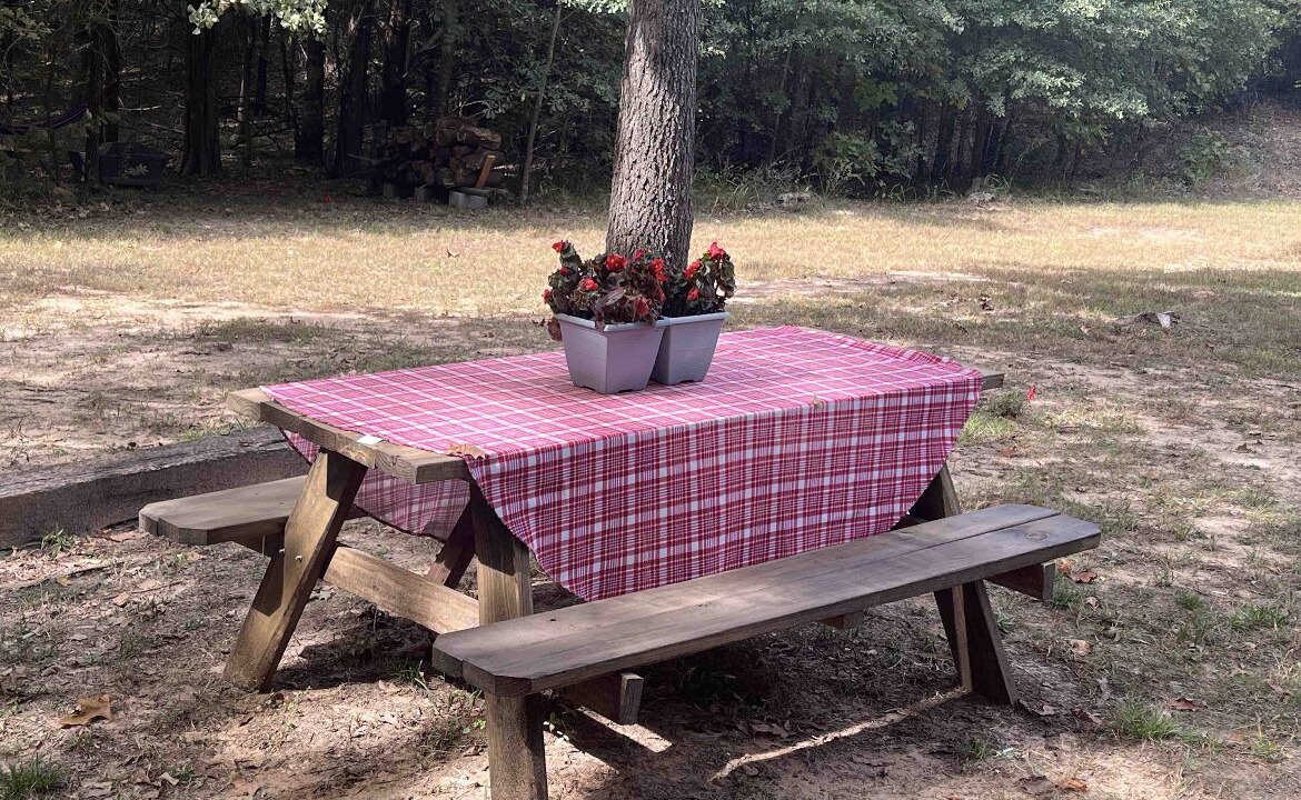Photo of Outdoor in Coleman