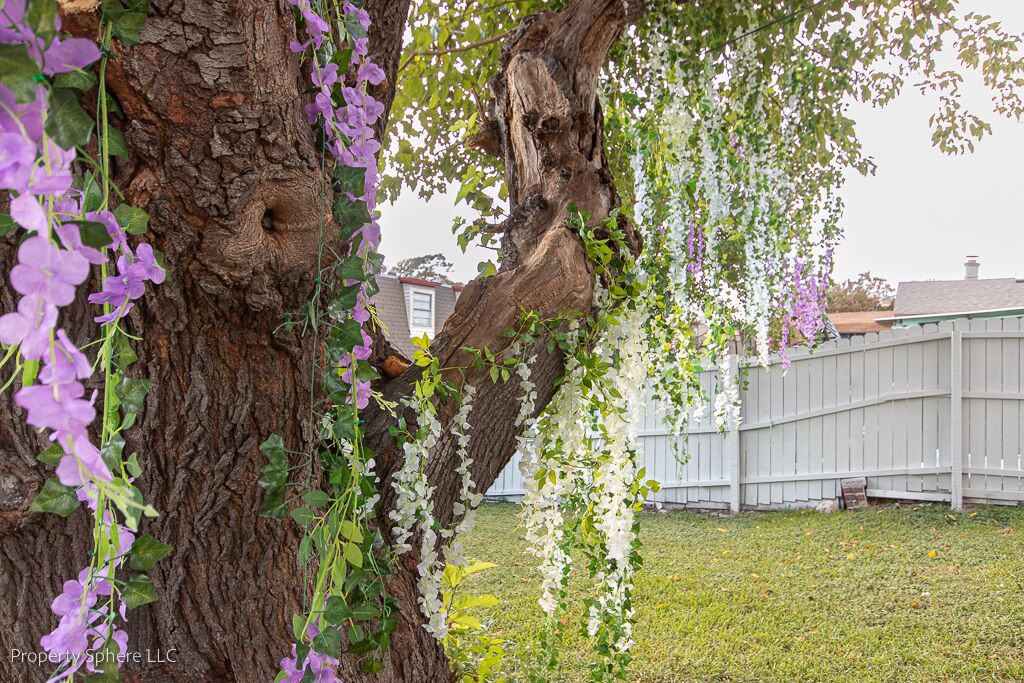 Photo of Outdoor in Mesquite