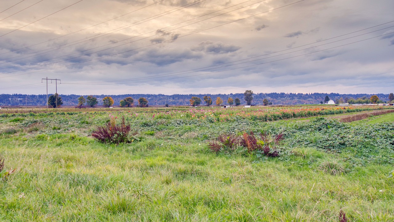 Photo of Others in Everett