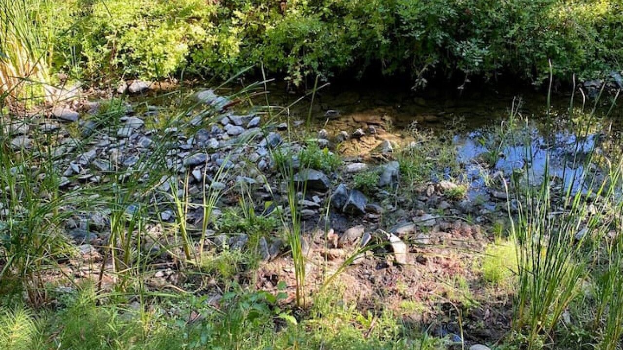 Photo of Others in Sutter Creek