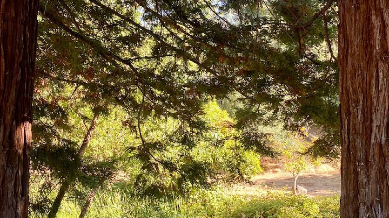 Photo of Outdoor in Sutter Creek