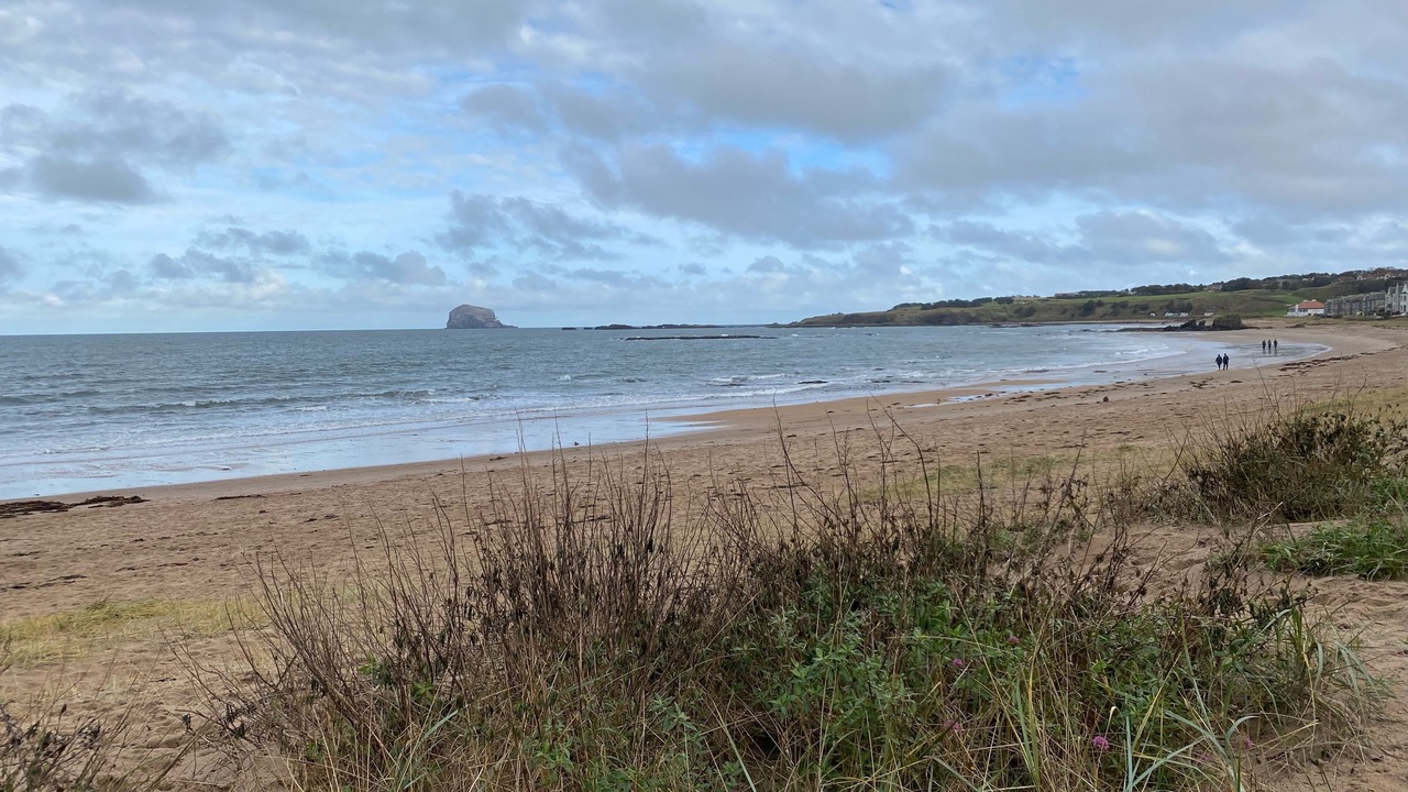 Photo of Others in North Berwick