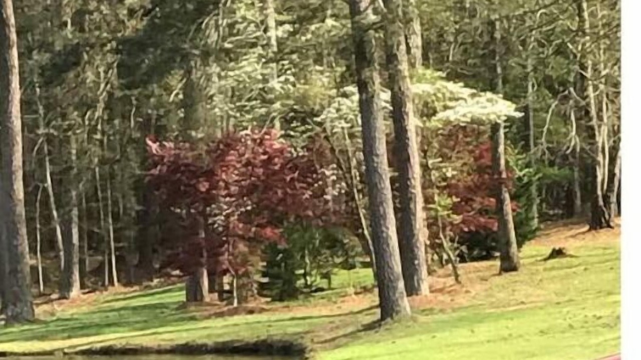 Photo of Outdoor in Tyrone