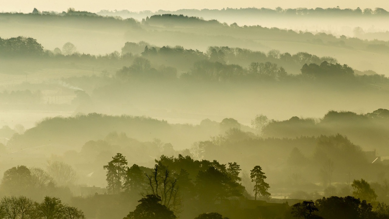 Photo of Others in Whittington