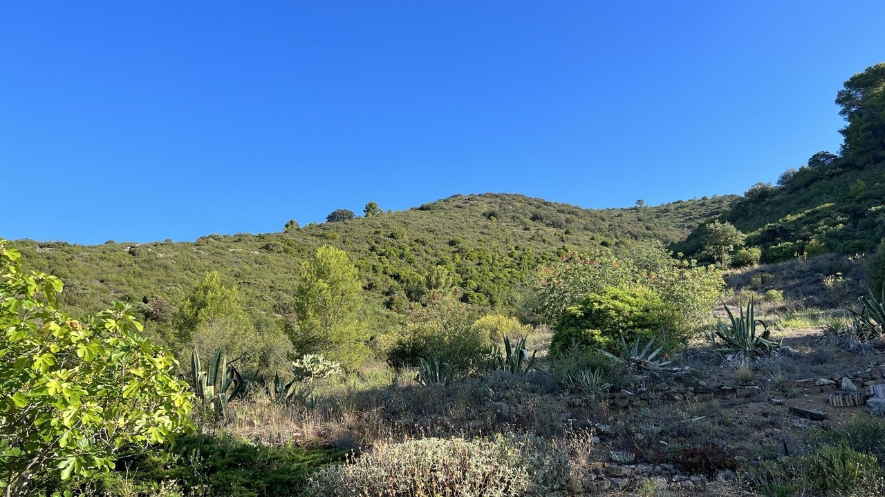 Photo of Others in Roquebrun