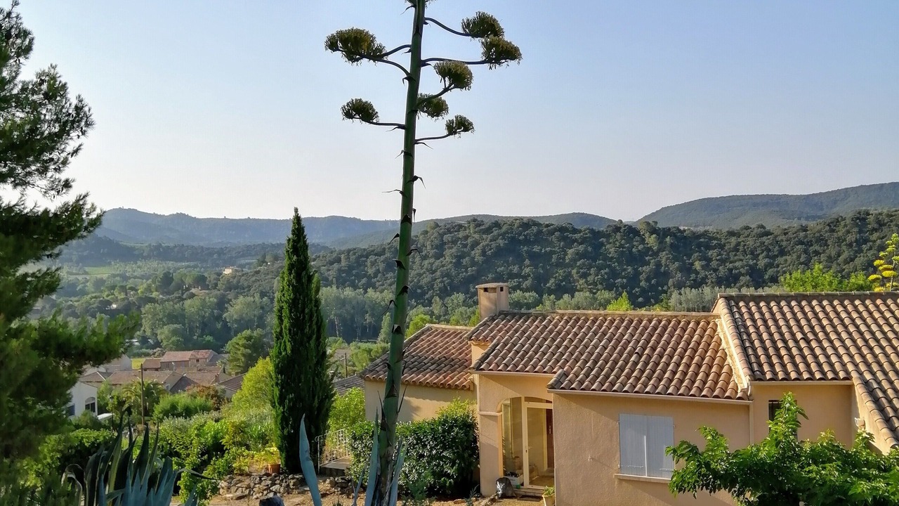 Photo of Outdoor in Roquebrun