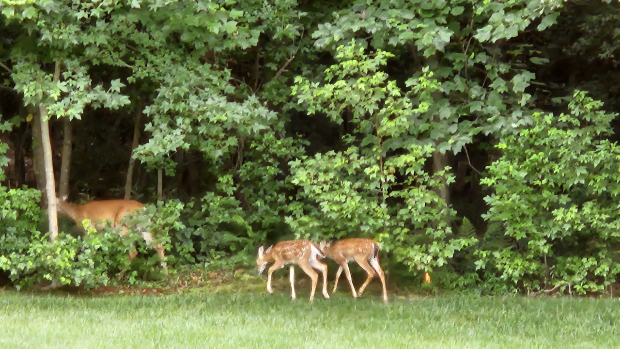 Photo of Others in Quinton