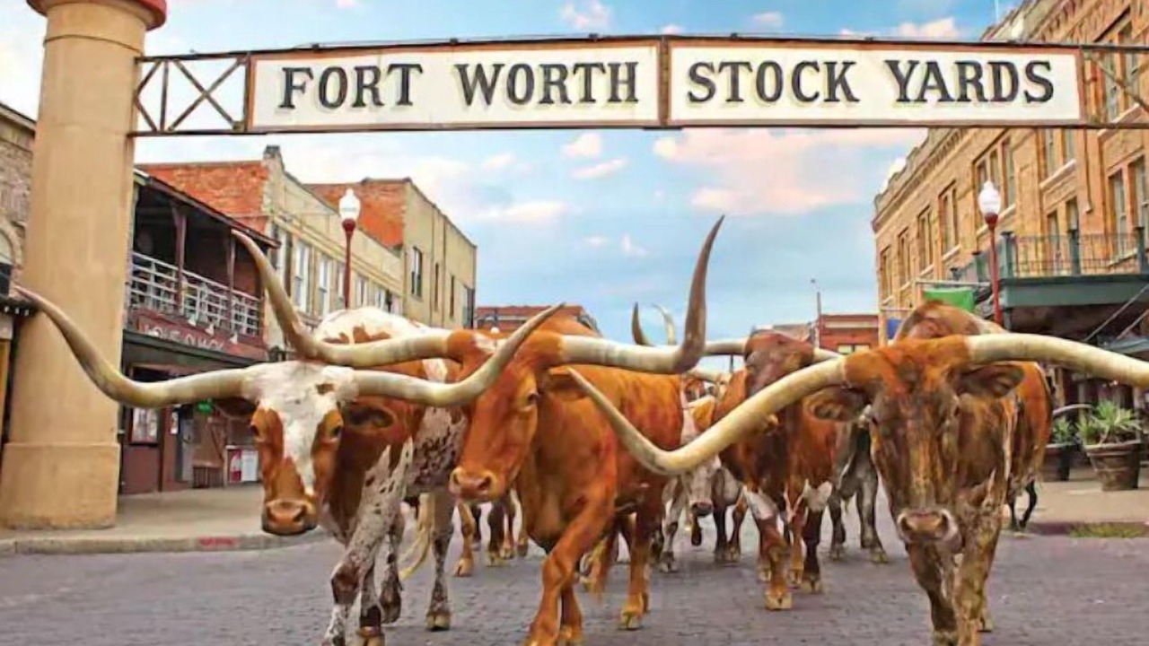 Photo of Others in Fort Worth