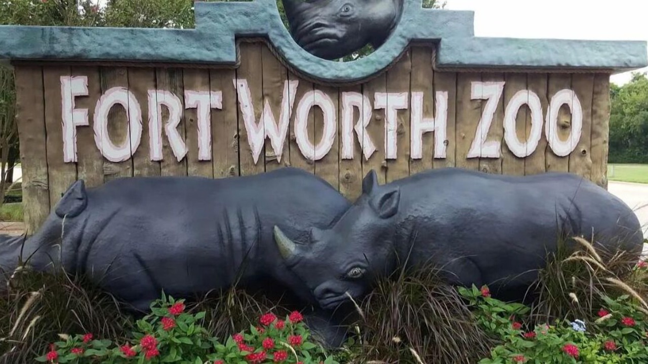 Photo of Others in Fort Worth
